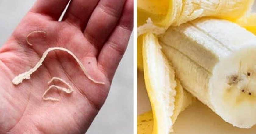 Descubra o que pode ocorrer ao ingerir o ‘fiapo da banana’ – nunca mais descarte sem pensar!